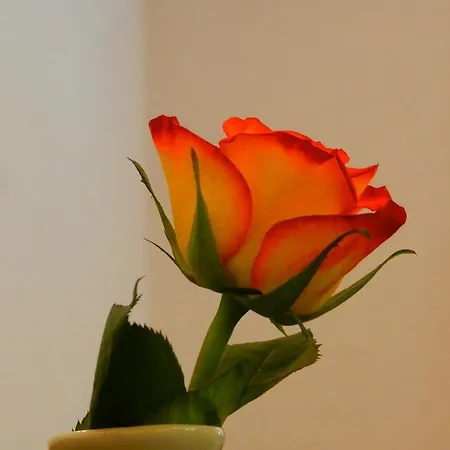 Christine Gasthof 3*